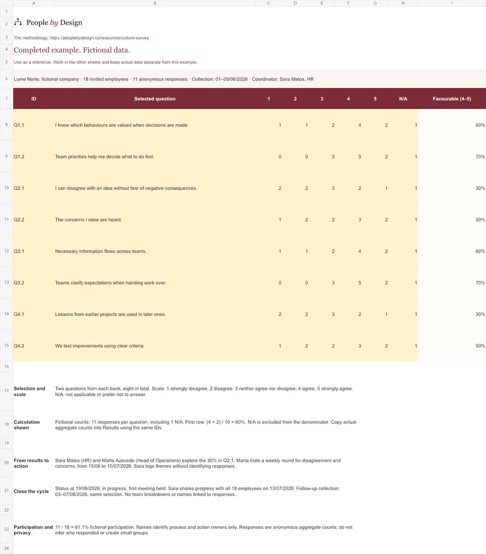 Screenshot of the Example sheet in the Excel template.