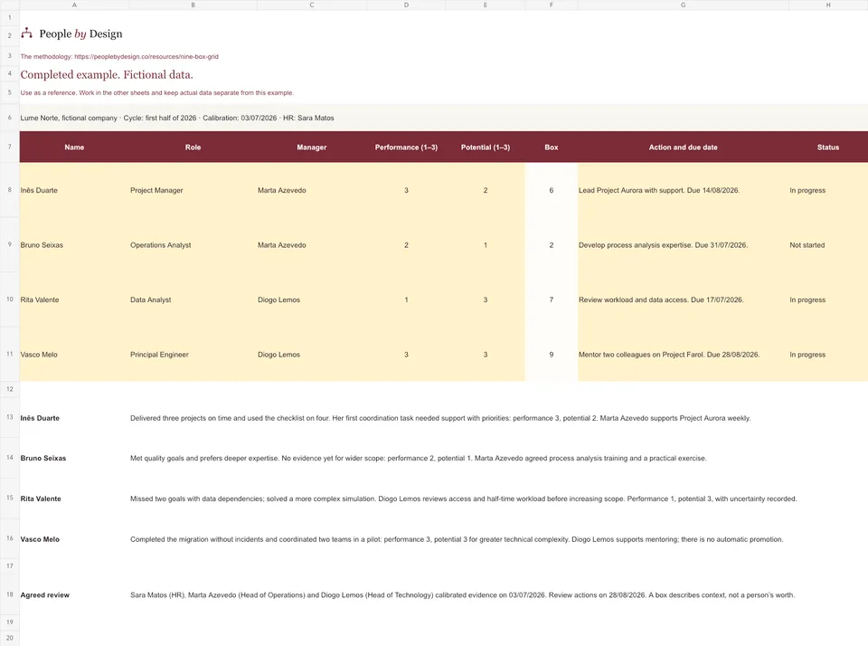 Screenshot of the Example sheet in the Excel template.